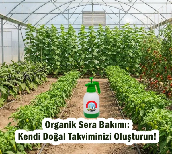 Organik Sera Bakımı: Kendi Doğal Takviminizi Oluşturun!
