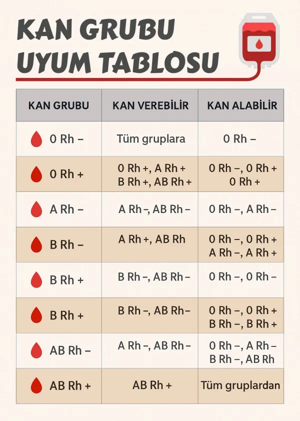 Faydalı Bilgiler
